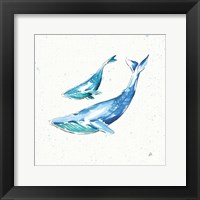 Maritime VIII Framed Print
