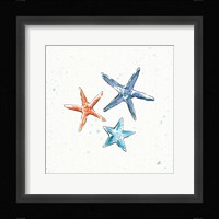 Maritime XII Framed Print