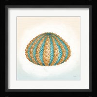 Boardwalk Urchin Fine Art Print