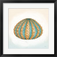 Boardwalk Urchin Fine Art Print