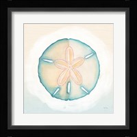 Boardwalk Sand Dollar Fine Art Print
