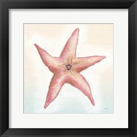 Boardwalk Starfish Fine Art Print
