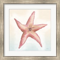 Boardwalk Starfish Fine Art Print