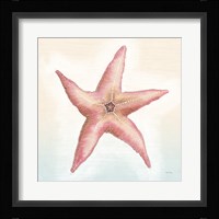 Boardwalk Starfish Fine Art Print