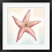 Boardwalk Starfish Framed Print