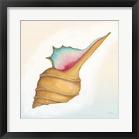 Boardwalk Murex Fine Art Print