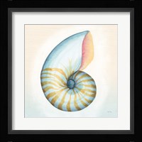 Boardwalk Nautilus Fine Art Print