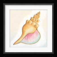 Boardwalk Conch Framed Print
