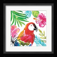 Tropicana III Framed Print