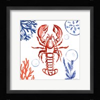 Coastal Jewels VI Framed Print