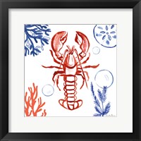 Coastal Jewels VI Framed Print