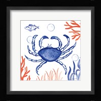 Coastal Jewels V Framed Print