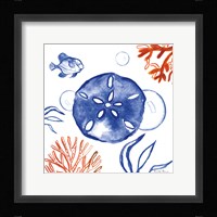 Coastal Jewels IV Framed Print