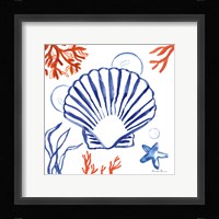 Coastal Jewels III Framed Print