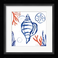 Coastal Jewels II Framed Print