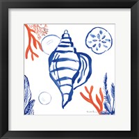 Coastal Jewels II Framed Print