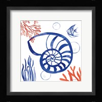 Coastal Jewels I Framed Print