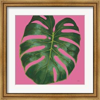 Welcome to Paradise XIII on Pink Fine Art Print