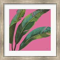 Welcome to Paradise XI on Pink Fine Art Print