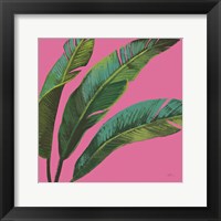 Welcome to Paradise XI on Pink Framed Print