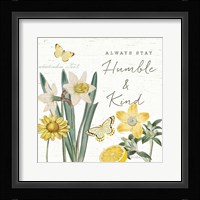 Citron Curiosities V Framed Print