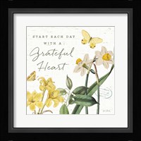 Citron Curiosities IV Framed Print