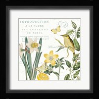 Citron Curiosities III Framed Print