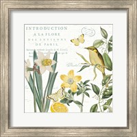 Citron Curiosities III Fine Art Print