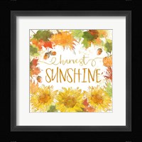 Harvest Splash III Framed Print