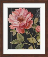 Harmonious Rose Black Fine Art Print