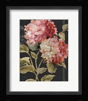 Harmonious Hydrangeas Framed Print