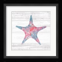 Ocean Life IV Framed Print