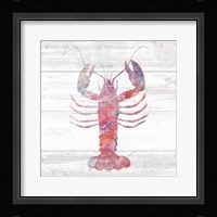 Ocean Life II Framed Print
