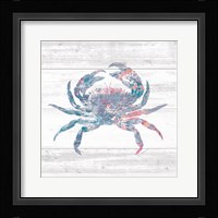 Ocean Life I Framed Print