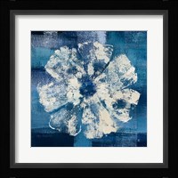 Ocean Bloom I Framed Print