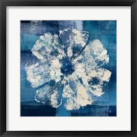 Ocean Bloom I Framed Print