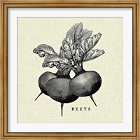 Linen Vegetable BW Sketch Beets Fine Art Print