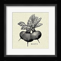 Linen Vegetable BW Sketch Beets Framed Print