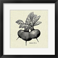 Linen Vegetable BW Sketch Beets Fine Art Print