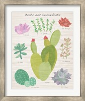 Succulent and Cacti Chart III on Wood Fine Art Print