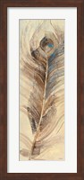 Feather Study Single Feather Fine Art Print