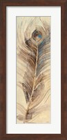 Feather Study Single Feather Fine Art Print
