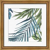 Palm Leaves III Fine Art Print
