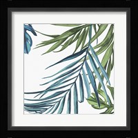 Palm Leaves III Framed Print