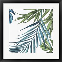 Palm Leaves III Framed Print