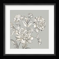 Botanical I Framed Print