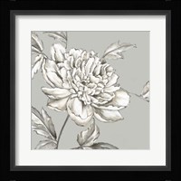 Botanical II Fine Art Print