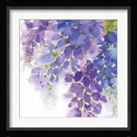 Wisteria I Framed Print