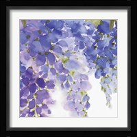 Wisteria II Fine Art Print