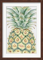 Fruit IV Fine Art Print